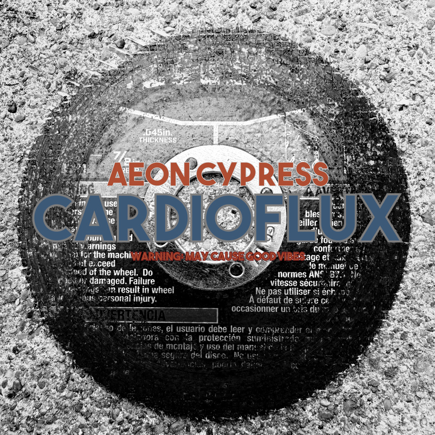 The Story Behind my latest album "Cardioflux"